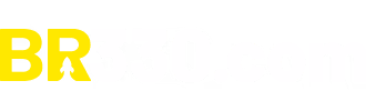 Logo br330